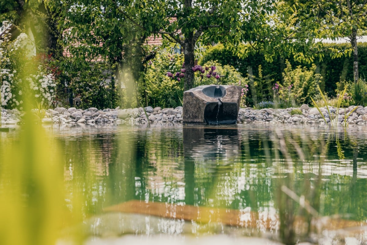 Ein ruhiger Gartenteich, umgeben von Felsen und üppigem Grün, mit einer modernen schwarzen Steinskulptur am Wasserrand und Bäumen im Hintergrund. Im Vordergrund sind unscharfe Pflanzen zu sehen.