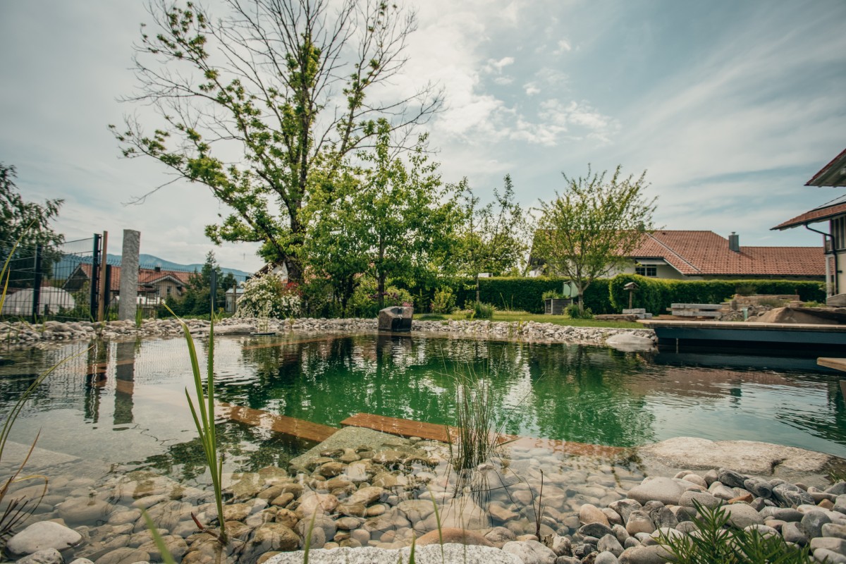 Ein klarer Teich mit Steinen und Wasserpflanzen befindet sich in einem angelegten Garten, umgeben von grünen Bäumen und Sträuchern. Im Hintergrund sind Gebäude mit roten Dächern und ein bewölkter blauer Himmel zu sehen.