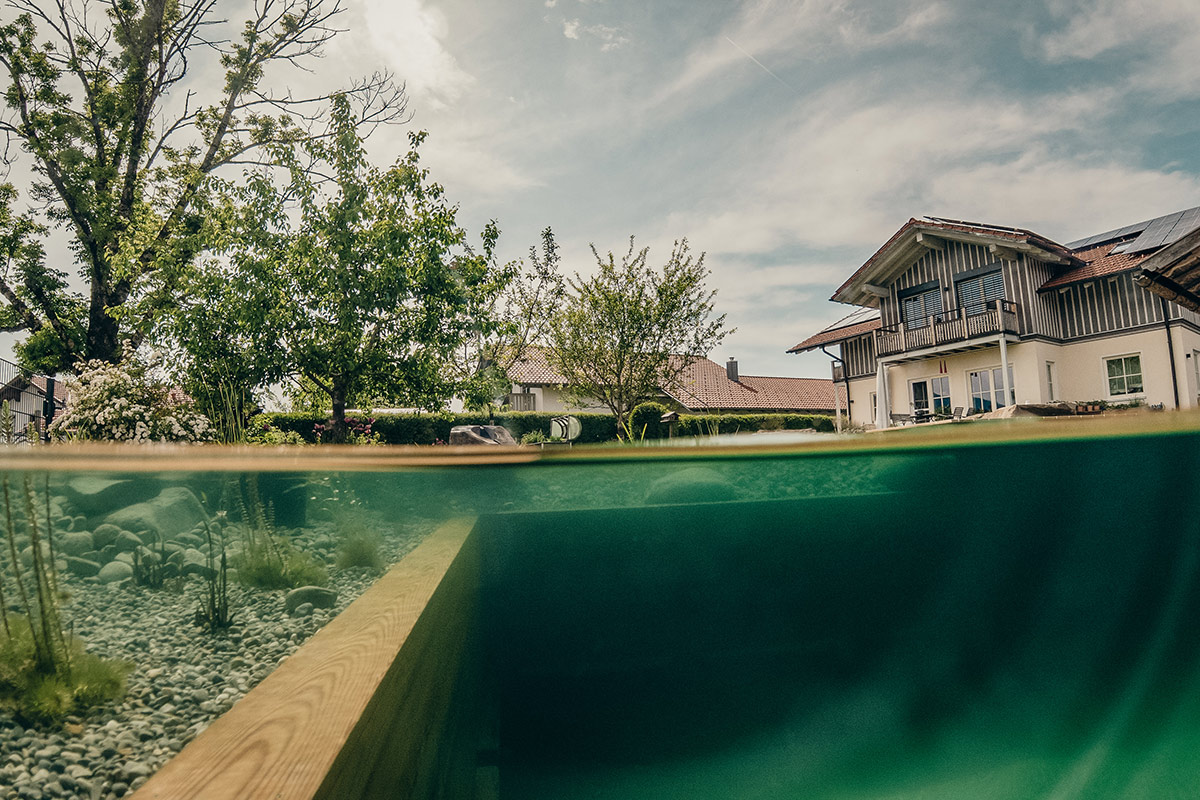 Eine Split-Level-Ansicht eines klaren Teichs mit Kieselsteinen und Pflanzen unter Wasser und einem Holzrand darüber. Im Hintergrund sind Bäume und ein Haus mit Balkon unter einem teilweise bewölkten Himmel zu sehen.